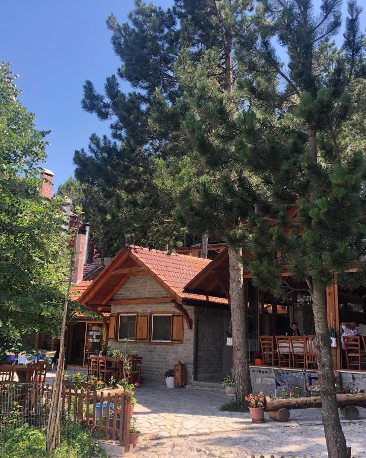 Domek letniskowy Pepaj Razëm